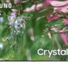 Samsung 75" Crystal UHD 4K TV (05/02/2024) {us}